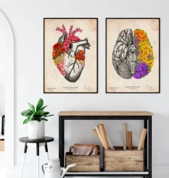 Codex Anatomicus Brain Anatomy^Anatomical brain - Floral - Vintage