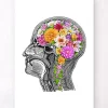 Codex Anatomicus Brain Anatomy^Anatomical brain with flowers II - White
