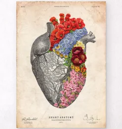 Codex Anatomicus Heart Anatomy^Anatomical heart - Floral - Vintage