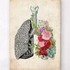 Codex Anatomicus Lungs Anatomy^Anatomical lungs - Floral - Vintage