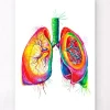 Codex Anatomicus Lungs Anatomy^Anatomical lungs art - Watercolor splash