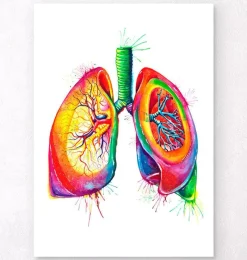 Codex Anatomicus Lungs Anatomy^Anatomical lungs art - Watercolor splash