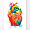 Codex Anatomicus Heart Anatomy^Anatomy of the heart - Watercolor splash