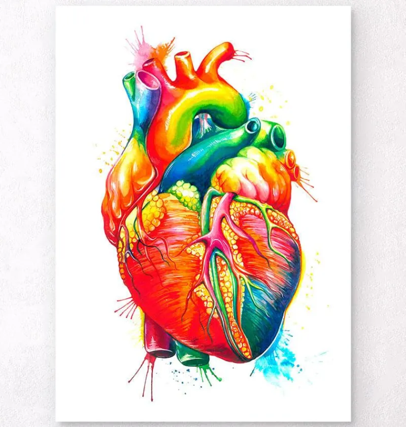 Codex Anatomicus Heart Anatomy^Anatomy of the heart - Watercolor splash