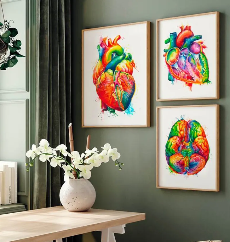 Codex Anatomicus Heart Anatomy^Anatomy of the heart - Watercolor splash