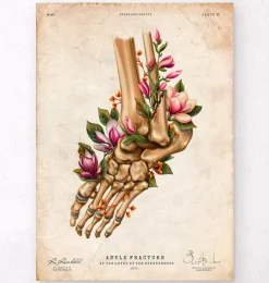 Codex Anatomicus Skull & Skeleton | Hands & Legs^Ankle fracture - Floral - Vintage