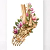 Codex Anatomicus Skull & Skeleton | Hands & Legs^Ankle fracture - Floral - White