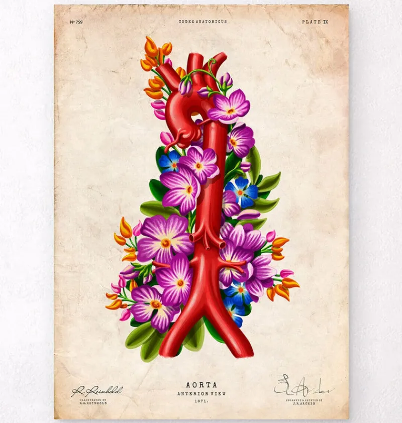 Codex Anatomicus Heart Anatomy^Aorta - Floral - Vintage