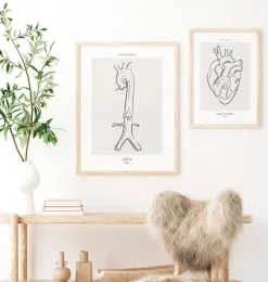 Codex Anatomicus Heart Anatomy^Aorta anatomy - Line Art
