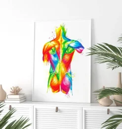 Codex Anatomicus Full Body Anatomy^Back muscles - Watercolor splash
