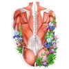 Codex Anatomicus Stickers^Back muscles anatomy sticker - Floral