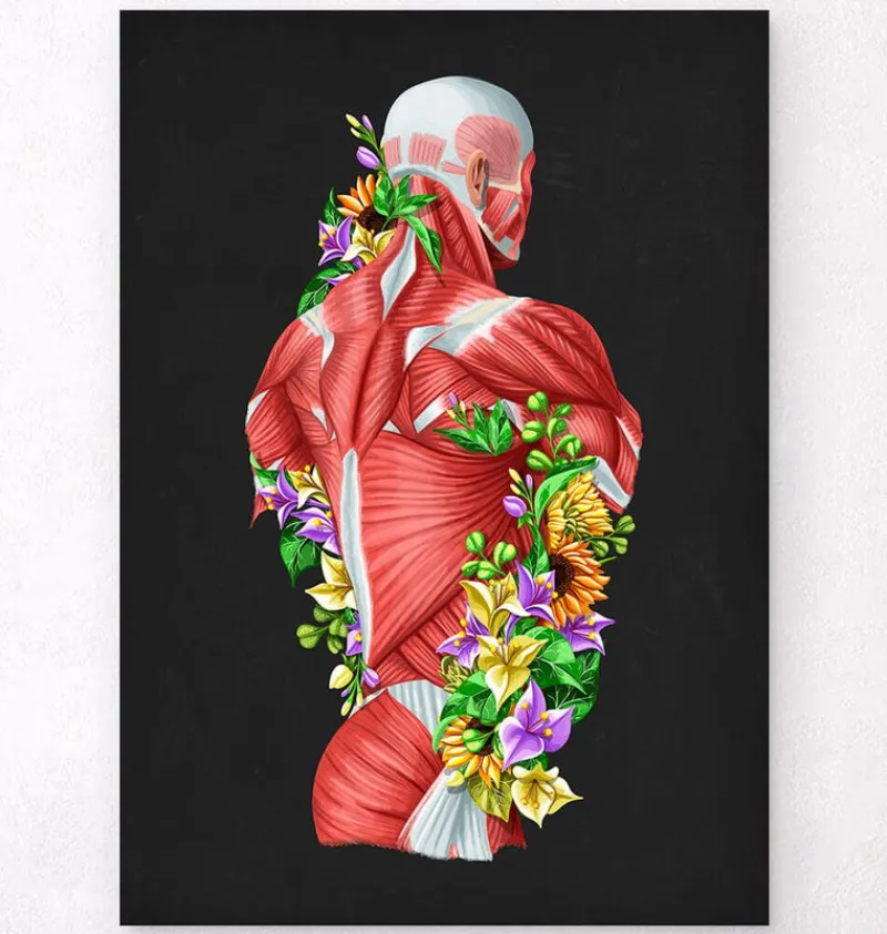 Codex Anatomicus Full Body Anatomy^Back muscles in motion - Floral - Black
