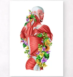 Codex Anatomicus Full Body Anatomy^Back muscles in motion - Floral - White