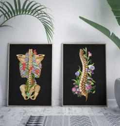 Codex Anatomicus Skull & Skeleton^Back skeleton - Floral - Black