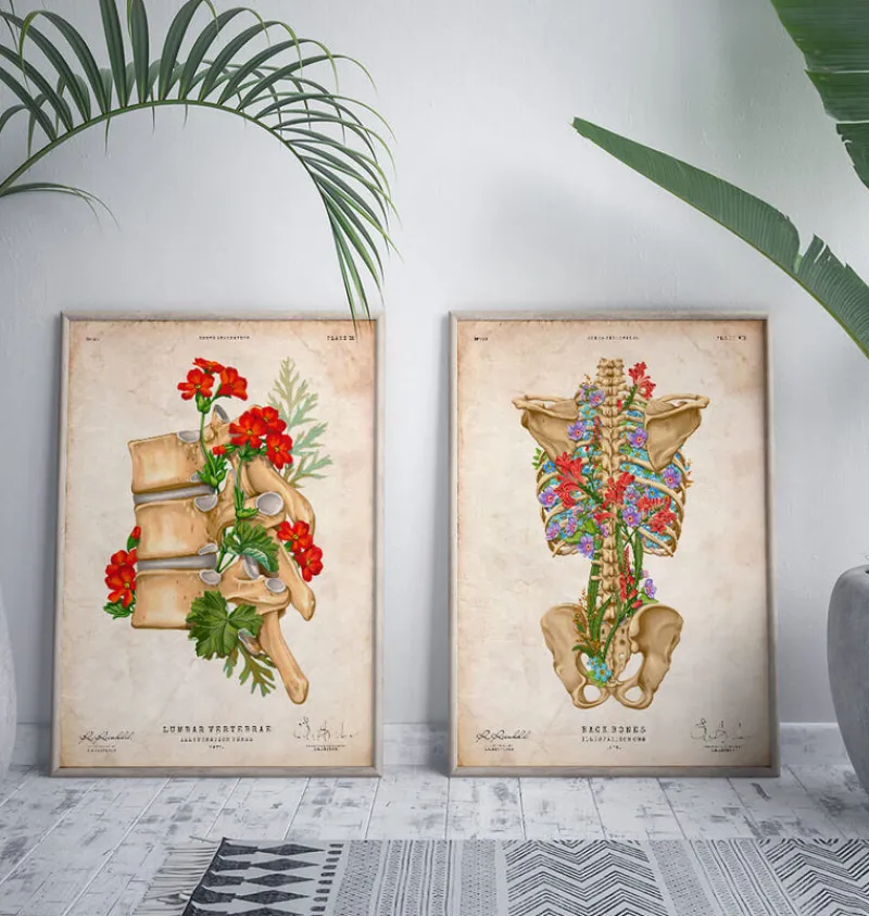 Codex Anatomicus Skull & Skeleton^Back skeleton - Floral - Vintage