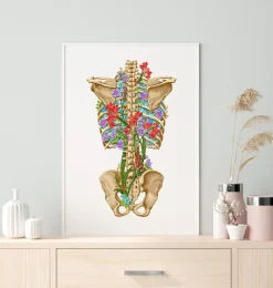 Codex Anatomicus Skull & Skeleton^Back skeleton - Floral - White