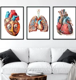 Codex Anatomicus Heart Anatomy^Bestsellers Set of 3 - Geometric