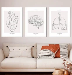 Codex Anatomicus Heart Anatomy^Bestsellers Set of 3 - Line Art