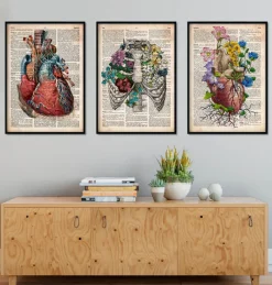 Codex Anatomicus Heart Anatomy^Bestsellers Set of 3 - Old Dictionary