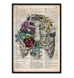 Codex Anatomicus Heart Anatomy^Bestsellers Set of 3 - Old Dictionary