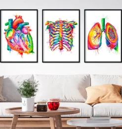 Codex Anatomicus Heart Anatomy^Bestsellers Set of 3 - Watercolor