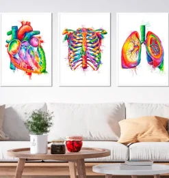 Codex Anatomicus Heart Anatomy^Bestsellers Set of 3 - Watercolor