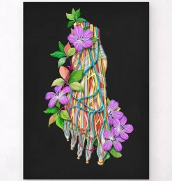 Codex Anatomicus Hands & Legs^Blood vessels of the foot - Floral - Black