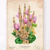 Codex Anatomicus Skull & Skeleton | Hands & Legs^Bones of a hand - Floral - Vintage