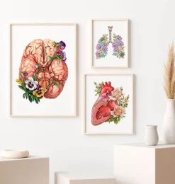 Codex Anatomicus Brain Anatomy^Brain anatomy - Floral