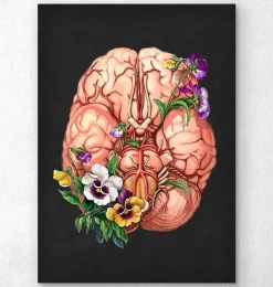 Codex Anatomicus Brain Anatomy^Brain anatomy - Floral - Black