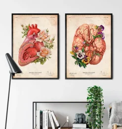 Codex Anatomicus Brain Anatomy^Brain anatomy - Floral - Vintage