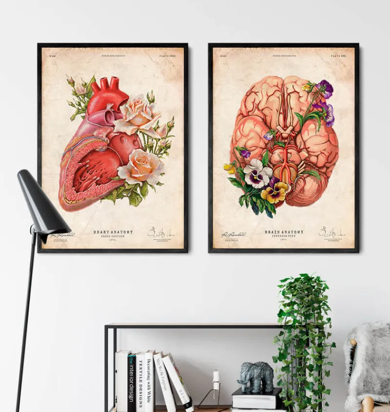 Codex Anatomicus Brain Anatomy^Brain anatomy - Floral - Vintage