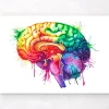 Codex Anatomicus Brain Anatomy^Brain anatomy art - Watercolor splash