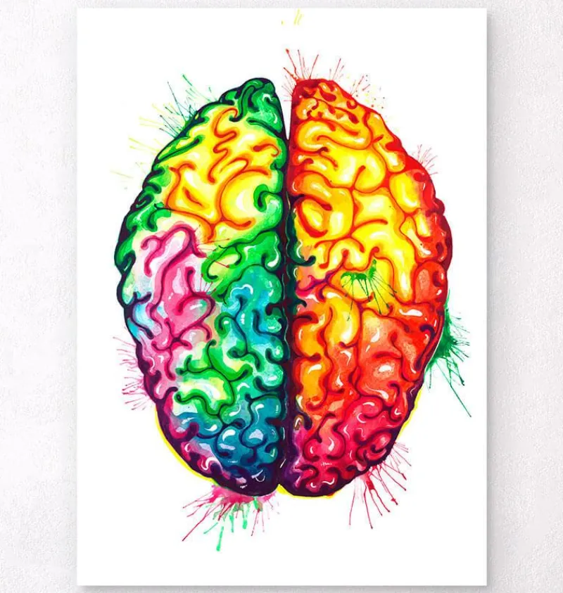 Codex Anatomicus Brain Anatomy^Brain anatomy art II - Watercolor splash