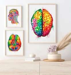 Codex Anatomicus Brain Anatomy^Brain anatomy art II - Watercolor splash