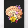 Codex Anatomicus Brain Anatomy^Brain anatomy II - Floral - Black
