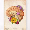 Codex Anatomicus Brain Anatomy^Brain anatomy II - Floral - Vintage