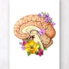 Codex Anatomicus Brain Anatomy^Brain anatomy II - Floral - White