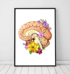 Codex Anatomicus Brain Anatomy^Brain anatomy II - Floral - White