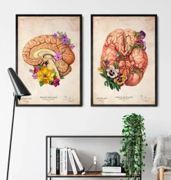 Codex Anatomicus Brain Anatomy^Brain anatomy II - Floral - Vintage