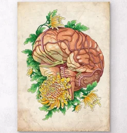 Codex Anatomicus Brain Anatomy^Brain anatomy III - Floral - Vintage
