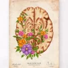Codex Anatomicus Brain Anatomy^Brain anatomy III - Floral - Vintage