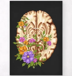 Codex Anatomicus Brain Anatomy^Brain anatomy III - Floral - Black