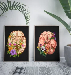 Codex Anatomicus Brain Anatomy^Brain anatomy III - Floral - Black