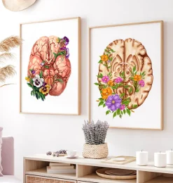 Codex Anatomicus Brain Anatomy^Brain anatomy III - Floral - White