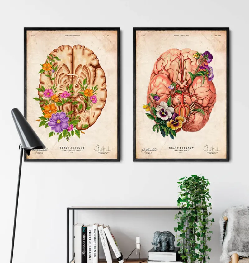 Codex Anatomicus Brain Anatomy^Brain anatomy III - Floral - Vintage