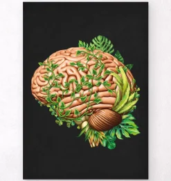 Codex Anatomicus Brain Anatomy^Brain anatomy IV - Floral - Black