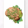 Codex Anatomicus Brain Anatomy^Brain anatomy IV - Floral - White