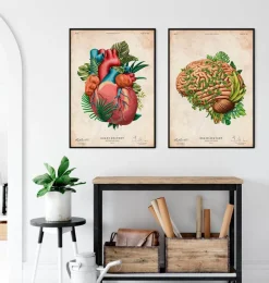 Codex Anatomicus Brain Anatomy^Brain anatomy IV - Floral - Vintage