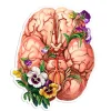 Codex Anatomicus Stickers^Brain anatomy sticker - Floral